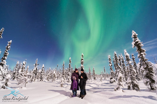 This Live Stream of the Northern Lights Will Completely Enchant You