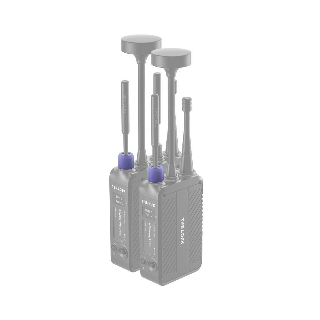 11-1625, Bolt 7 Color Band Set Lavendar