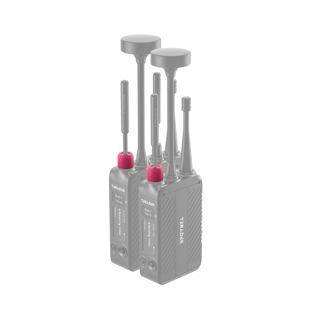 11-1625, Bolt 7 Color Band Set Pink