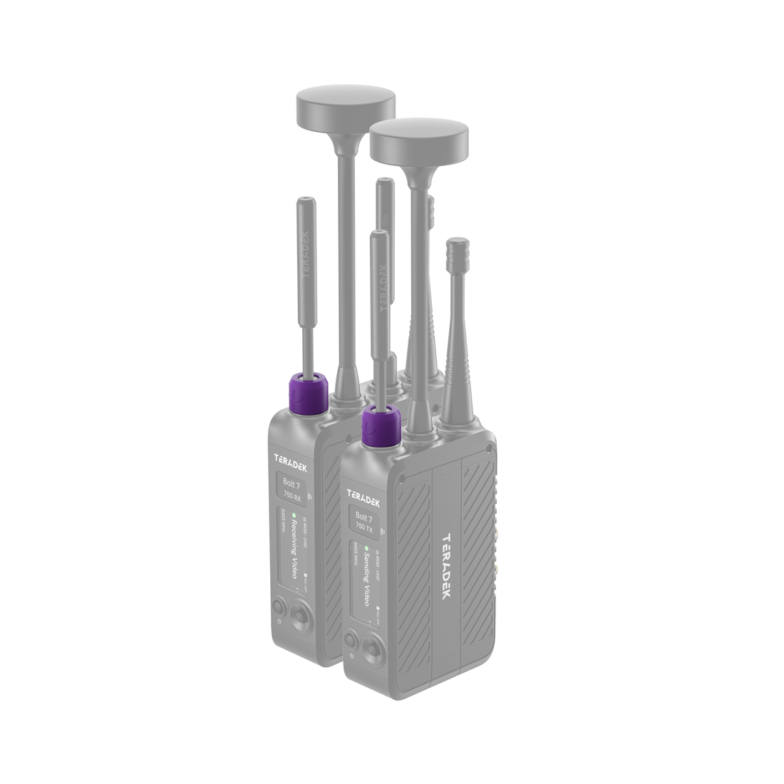 11-1625, Bolt 7 Color Band Set Purple