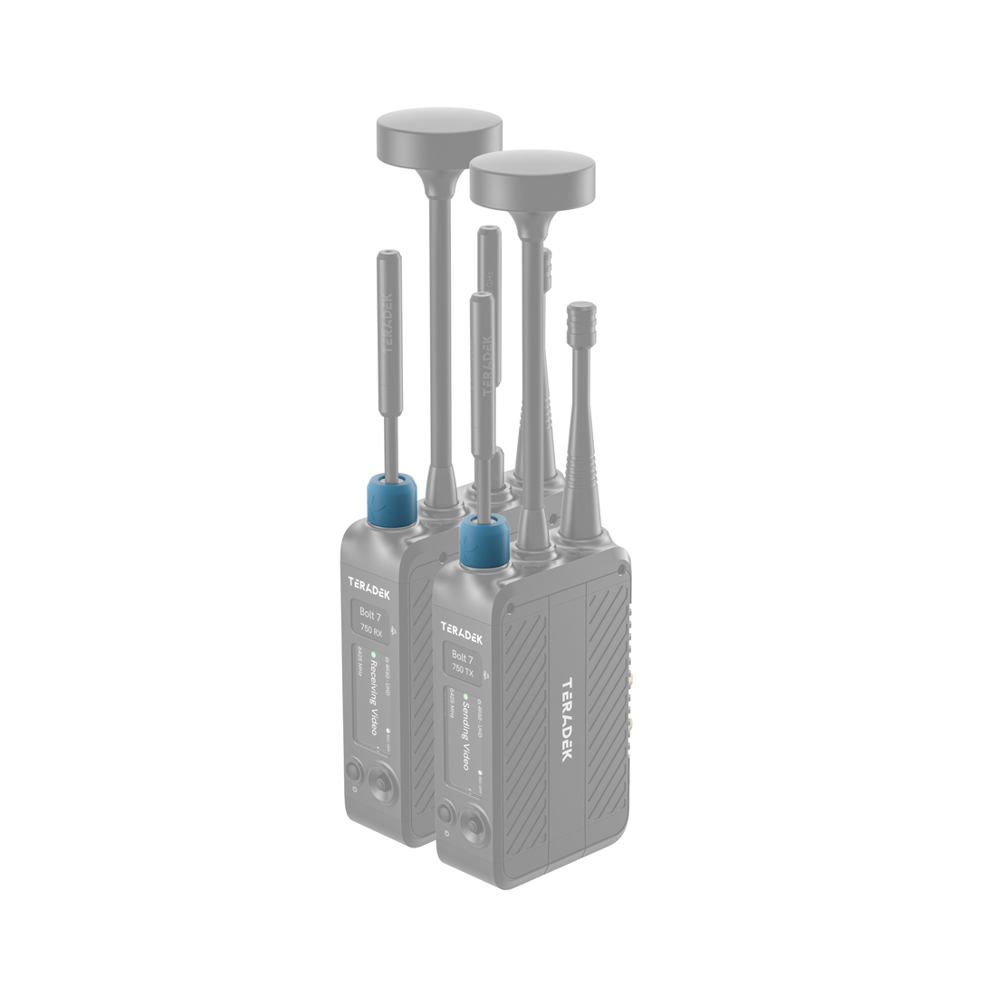 11-1625, Bolt 7 Color Band Set Teal