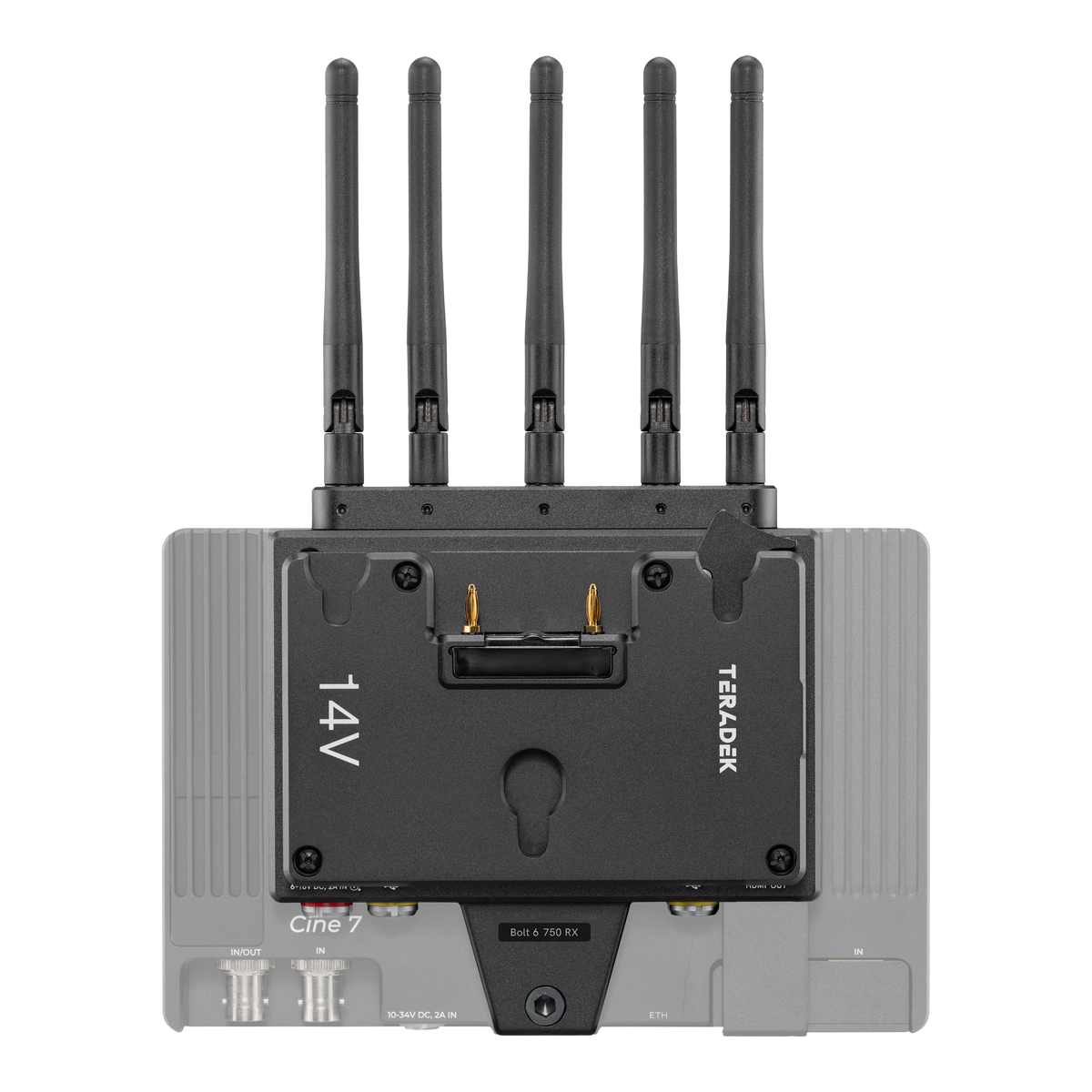 Bolt 6 Monitor Module RX | Zero-Delay Wireless Video – Teradek